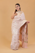 Pastel Katan Tanchoi Meenakari Saree