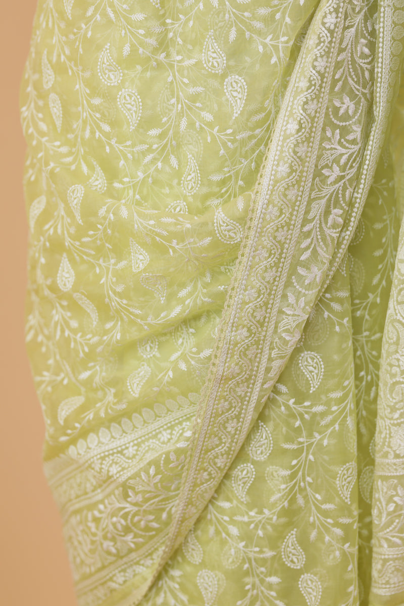 Parrot Thread Organza