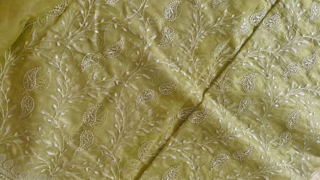 Parrot Thread Organza