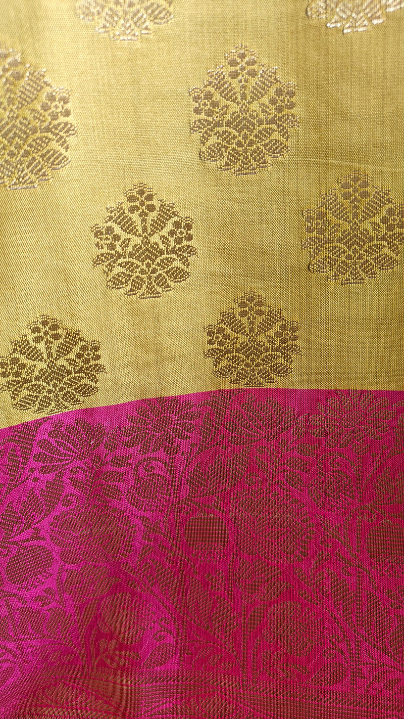 Banarasi Golden Pink Silk Suit