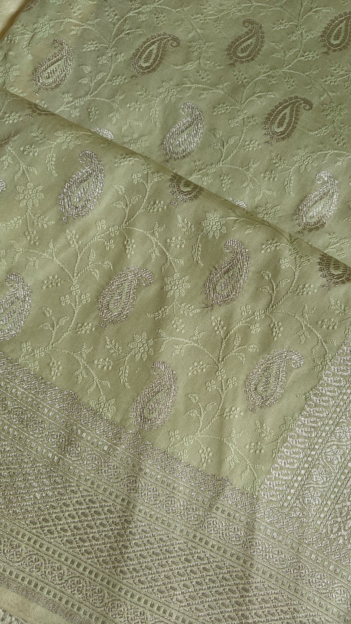 Pastel Green Tanchoi Silk Saree