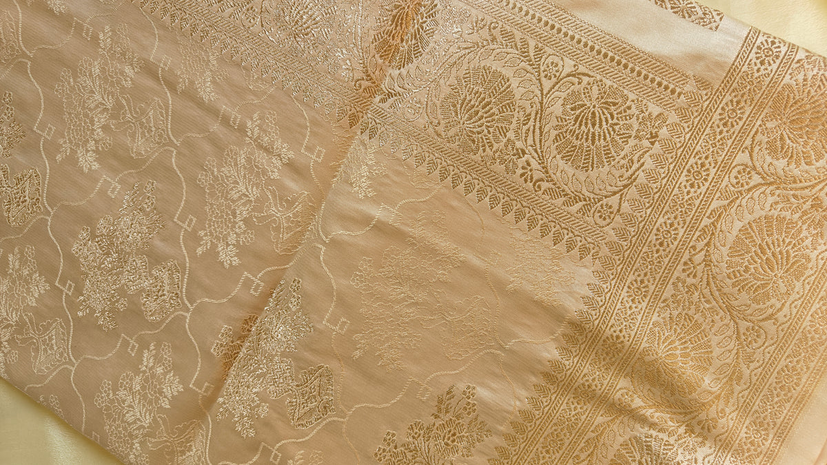 Golden Tanchoi Silk Saree