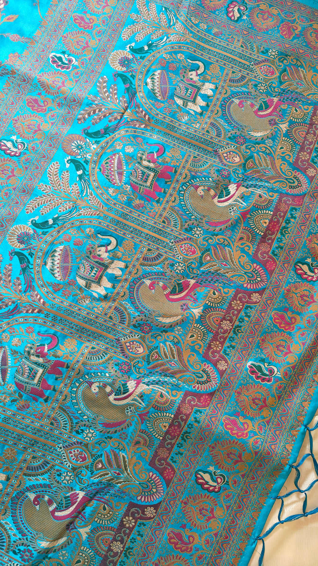 Ferozi Pashmina Jaal Zari Saree