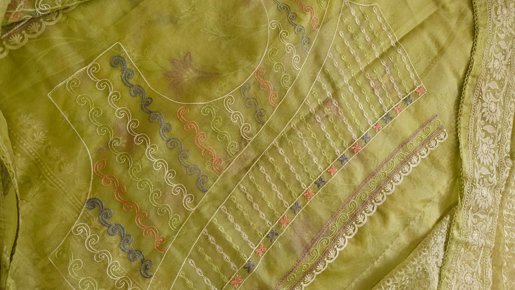 Parrot Thread Work Organza Saree