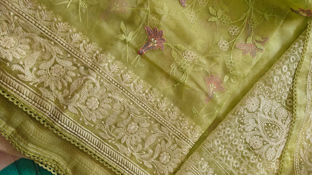 Parrot Thread Work Organza Saree