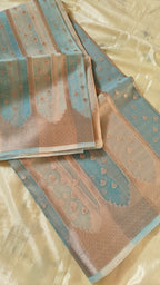 Light Blue Pastel Organza Saree