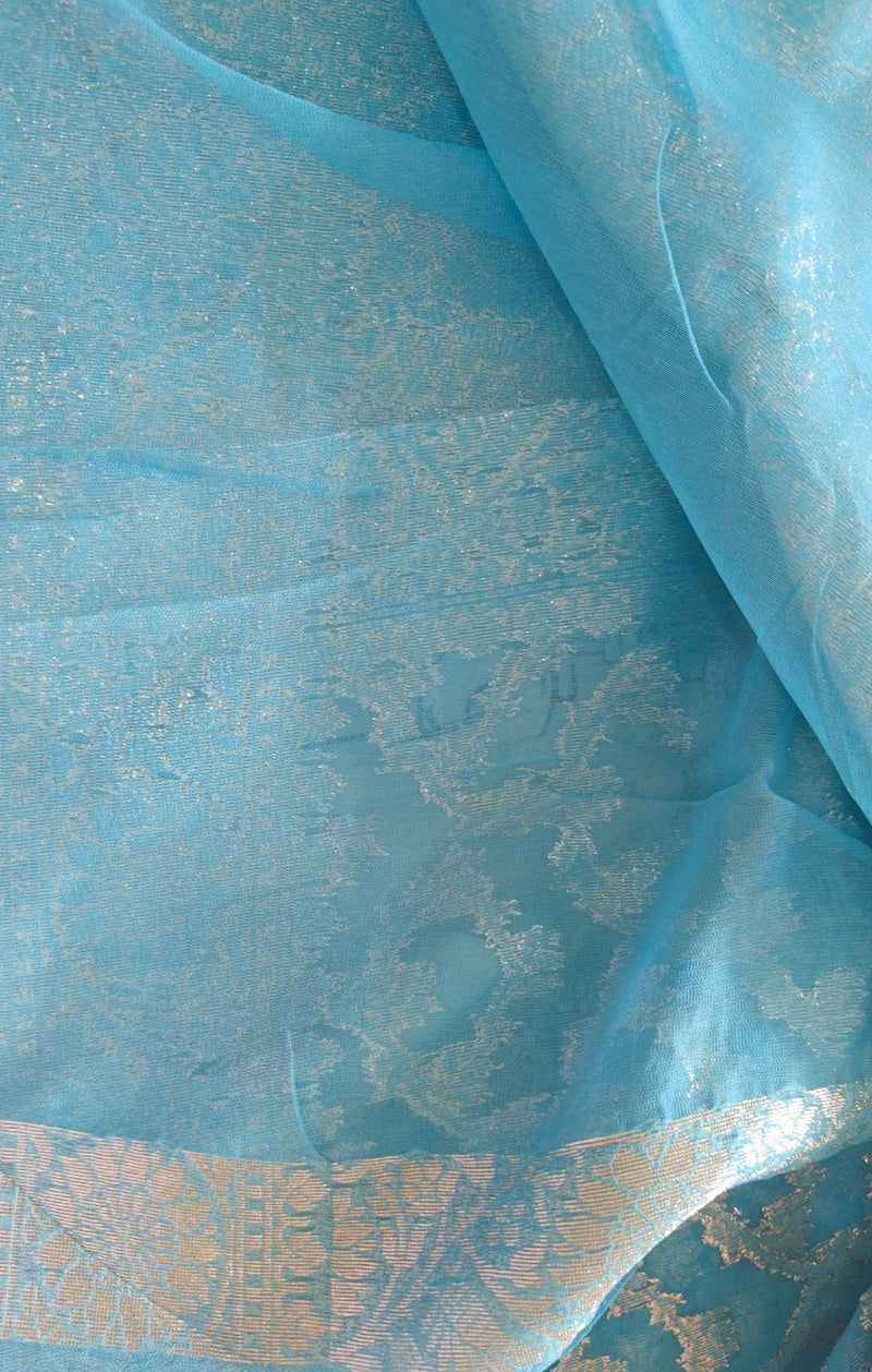 Sky Blue Georgette Saree