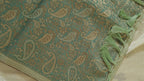 Pista Green Linen Saree Zari Jaal Work