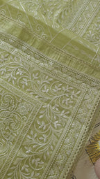 Parrot Thread Organza