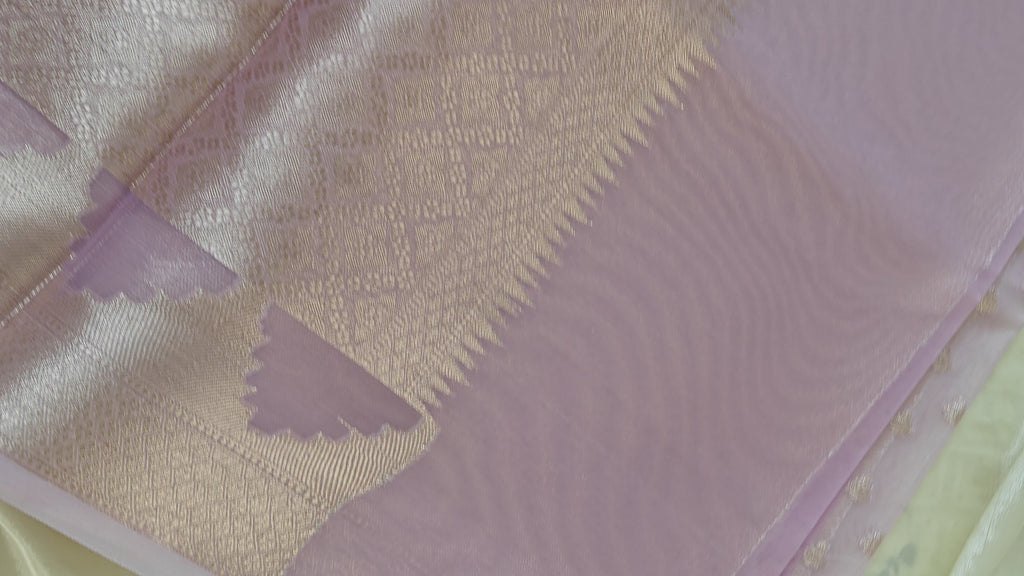Light Pink Pastel Organza Saree