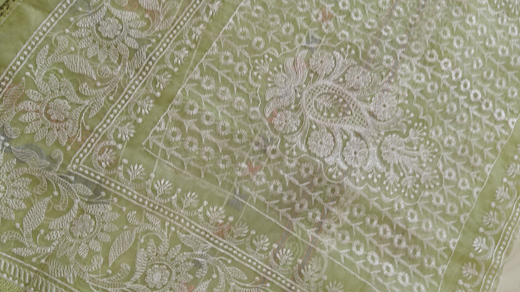 Parrot Thread Work Organza Saree