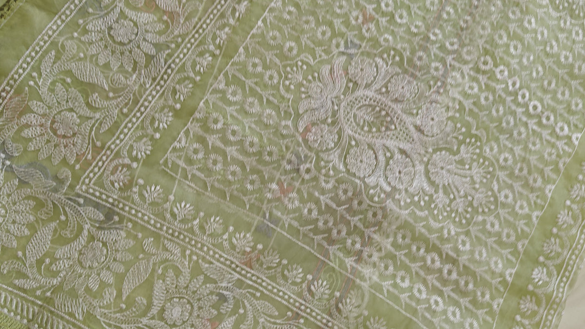 Parrot Thread Work Organza Saree
